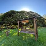 Sítio Figueira Centenária (Rota)