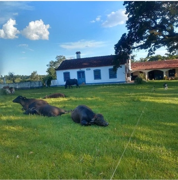 Morada dos Búfalos